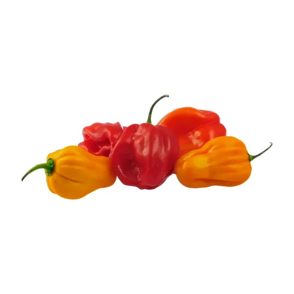 Hot Pepper (Scotch Bonnet) 100G