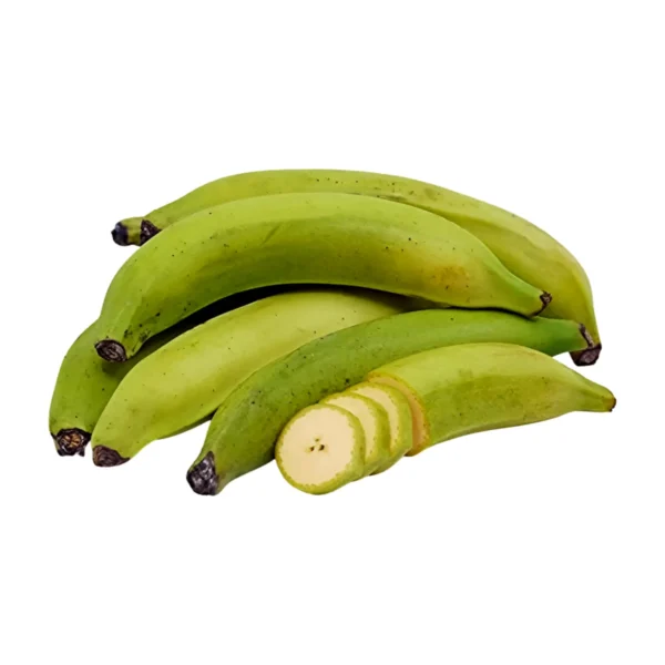 Green Plaintain (3 pack)