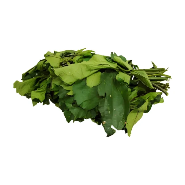 Fresh Ugu (1 Bundle)