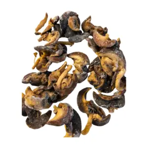Snails (1 Pack)