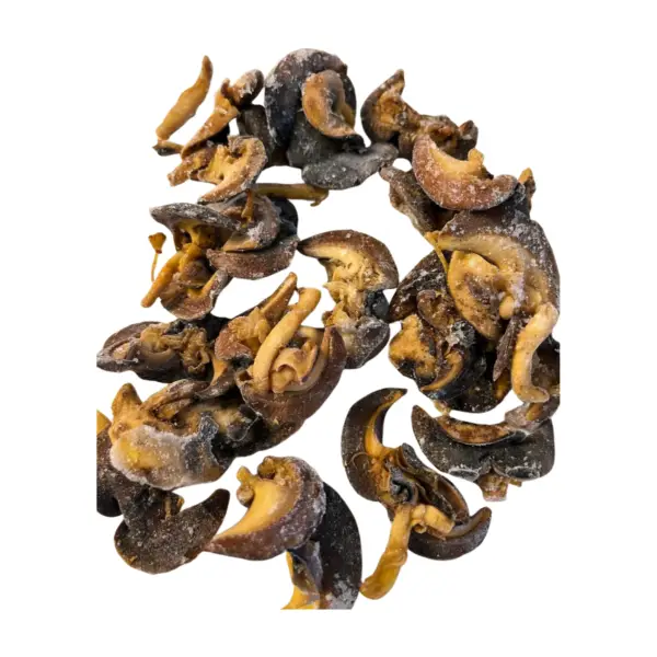 Snails (1 Pack)