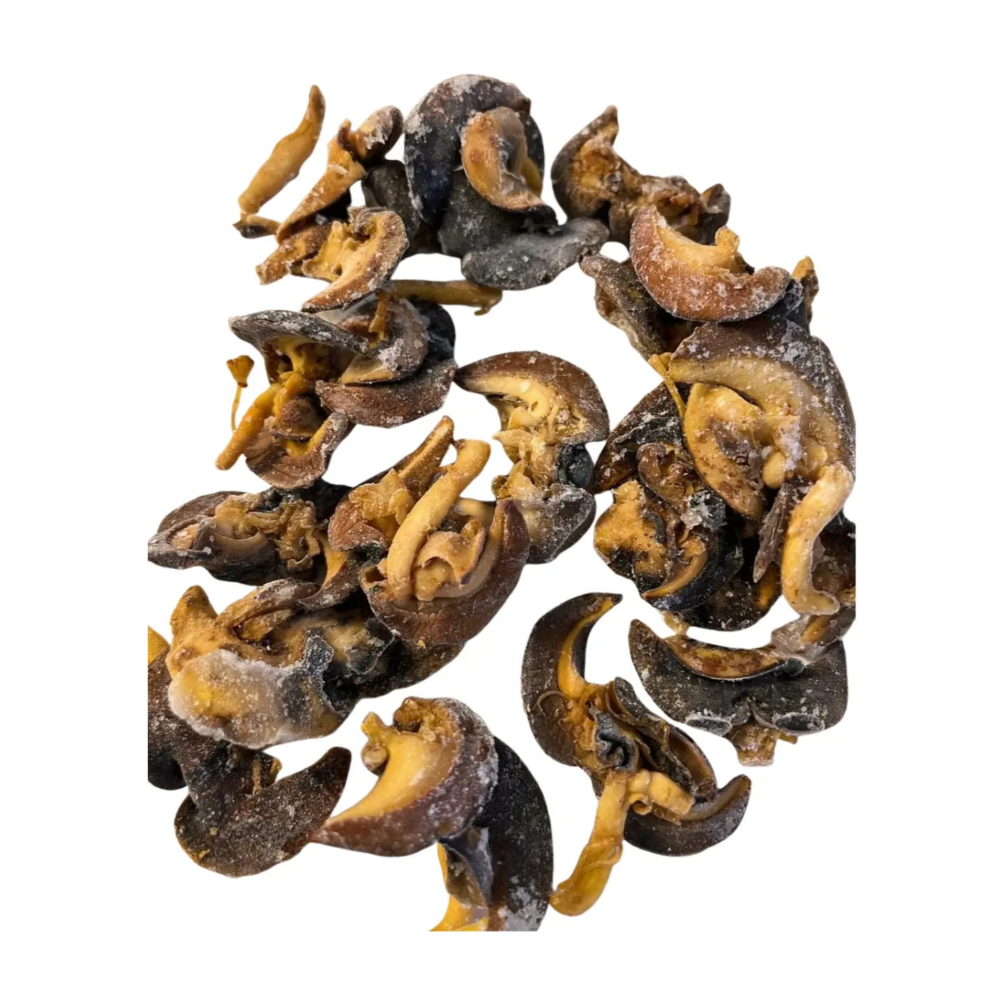 Snails (1 Pack)