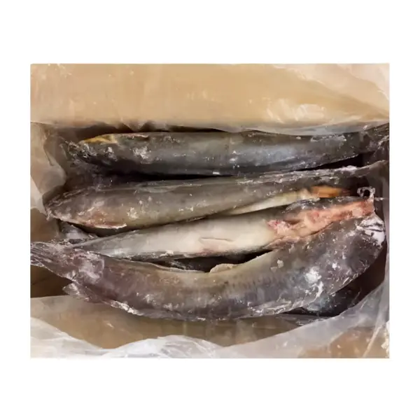 Frozen Catfish