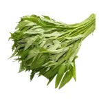Fresh Shoko Leave