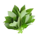 Fresh Ewedu Leaves