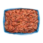 Prawns 5KG