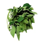 Fresh Bitter Leaves