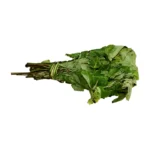 Fresh Oha Leaves